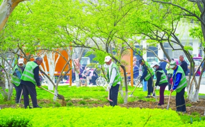 我为群众办实事 | 禹城：抢抓春季“黄金档” 提升绿化面积4万余平方米