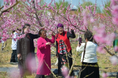 庆云县以花引流、以节聚客：“赏花+”激活文旅消费新动能