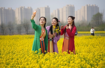 禹城 ：一城春色满城花