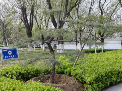 德州园林：精心打造百姓身边的“城市会客厅”