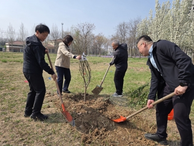 以树为证定格幸福！德州杨庄河景区启动 “幸福林” 种植计划，4大主题片区，春秋季均可种植
