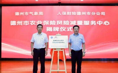 人保财险德州市分公司：“保险+气象+科技”构建农业风险共治新格局