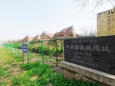 散文 | 李凤林：平原郡的暗语