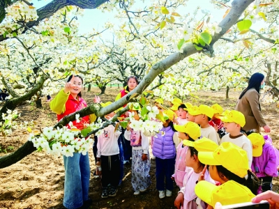 乐陵市组织丰富多彩清明主题活动