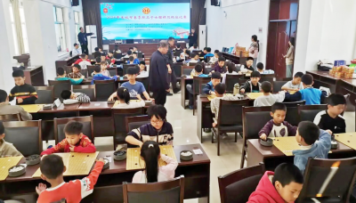 禹城市春季职工子女围棋段级位赛落幕