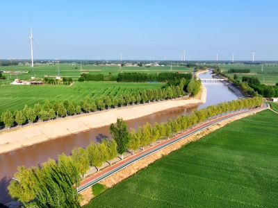 走在前 挑大梁 ·片区化推进乡村振兴的山东实践 | 德州突出特色建设104个片区，惠及群众120余万人——抱团兴产业  聚力促振兴