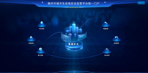德州城市生命线监管平台一期项目通过验收