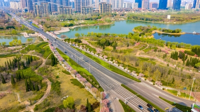 德报读图 | 春光烂漫 “醉”美德州