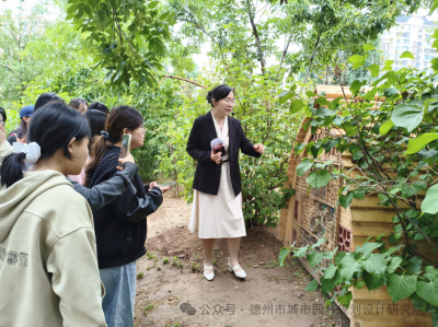 沉浸式实景研学！德州月湖公园这场园林科普课超有料