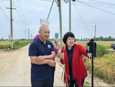 陵城区糜镇：田间直播带货忙 新农人张良国深耕绿色致富产业链