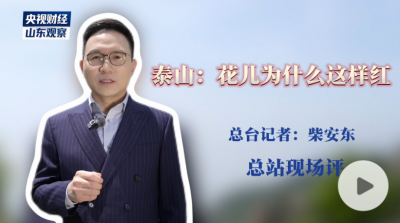 泰山：花儿为什么这样红