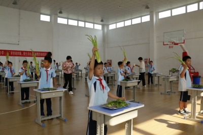德州天衢新区康博小学举办劳动技能大赛