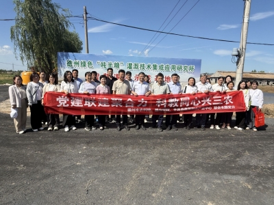 德州市农科院 | 党建联建聚合力 科教同心兴三农