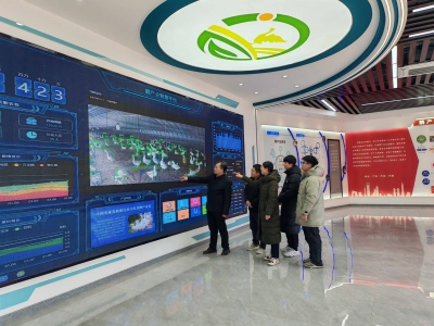 把论文写在生产线上 | 德州学院服务区域经济高质量发展纪实