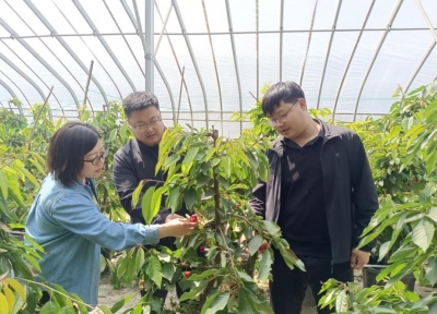 ​德州市农科院：开展设施果蔬技术服务
