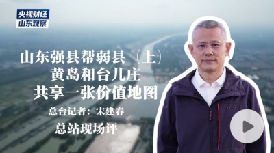 山东强县帮弱县（上）｜黄岛和台儿庄，共享一张价值地图