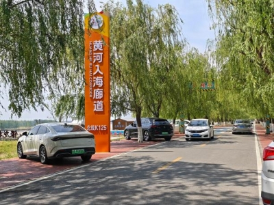 齐河“黄河入海”旅游公路假日人气旺