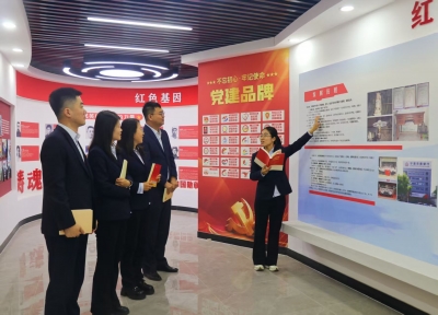 获省级荣誉！平原农商青年聚力实干绽放青春芳华