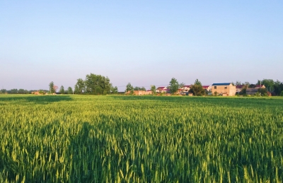 散文｜陈淑静：人生最好是小满