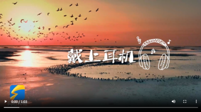 美丽中国行丨治愈感满满！在湿地邂逅可爱生灵