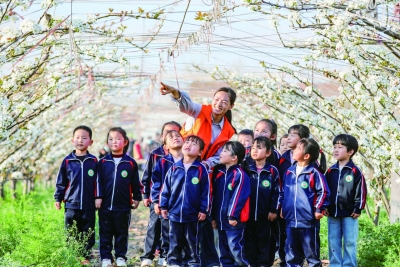 聚力打造乡村振兴齐鲁样板·村庄样本 | 铁营镇大白张村：昔日涝洼地  今朝果满园
