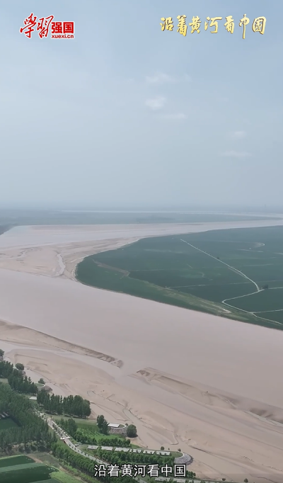 沿着黄河看中国｜东明黄河国家湿地公园：生态明珠 绿色蝶变