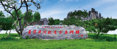 依托6000多亩古桑树群，发展“农文旅商体健”产业——夏津：一粒桑椹的“N种吃法”