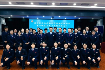 青春扎根办税窗口 微光汇聚实干担当——德城区税务局第一税务分局（办税服务厅）青年服务团队获山东青年五四奖章集体称号
