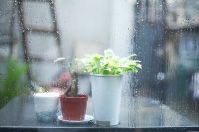 诗 | 李凤林：风雨真的来过 ——5月3日下午狂风骤雨纪实