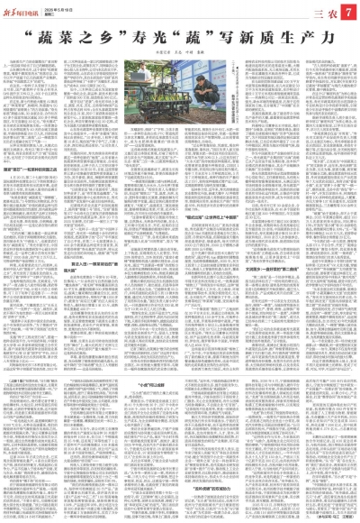 “蔬菜之乡”寿光“蔬”写新质生产力
