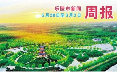 乐陵市新闻周报（5月28日至6月3日）