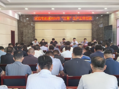 抢农时 保丰收 | 天衢新区宋官屯街道全力打好“三夏”抢收攻坚战