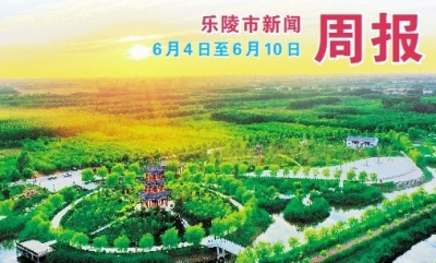 乐陵市新闻周报（6月4日至6月10日）