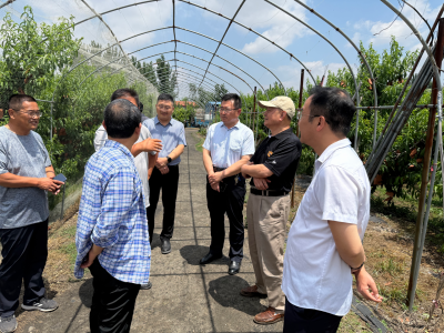德州市农科院专家赴齐河县开展技术指导