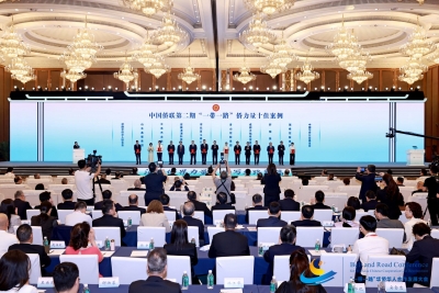 德州企业家王玲玲亮相2026“一带一路”华侨华人合作发展大会 | 相关案例入选中国侨联第二期“一带一路”侨力量十佳案例