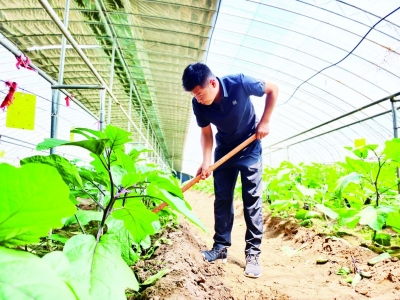 枣乡追梦人 网聚正能量 |“耘心农场孟掌柜”孟庆周：耕种田园好时光