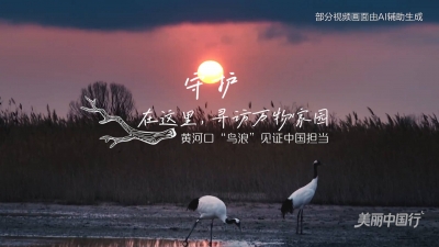 在这里，看见美丽中国｜跟随AI打开全新视角，看中国生态之美