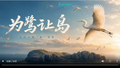 美丽中国行｜大江大海“新”邻居：为鹭让岛！放弃5000多万元投资项目 全球濒危种群数量增加到数千只