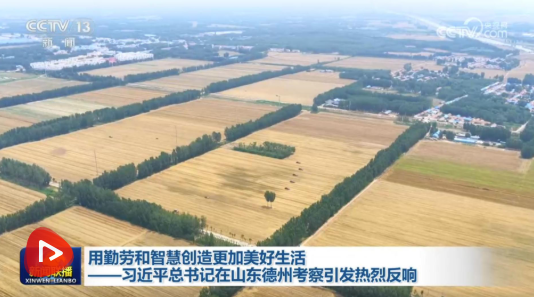 用勤劳和智慧创造更加美好生活——习近平总书记在山东德州考察引发热烈反响