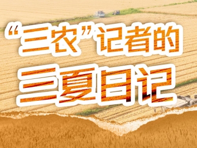 “三农”记者的三夏日记｜兜住麦收“最后一公里”