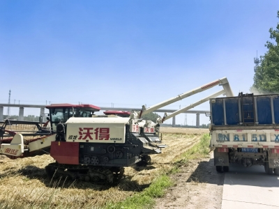 护航“三夏”颗粒归仓 | 赵虎镇筑牢生产“安全墙”与“禁烧网”