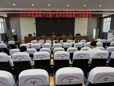 赵虎镇 | 织密服务网 奋战“三夏”生产第一线