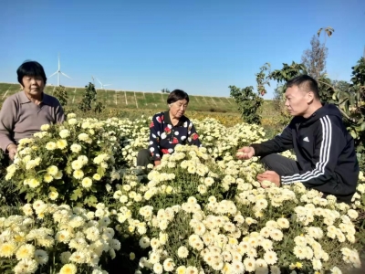 一人驻村 全镇受益 | 德州市派武城县郝王庄镇李古寺村第一书记、市委编办喻波