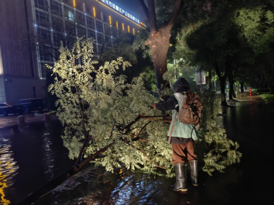 德州园林：全力守护城市安全与绿色家园