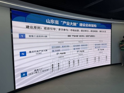 开局之年看中国·解码“产业大脑”丨让神经生长，让肌体有力 