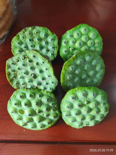 诗 | 张玲：青莲蓬（外二首）