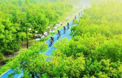 乐陵市旅游产业发展中心党支部获评山东省先进基层党组织：党建红引领文旅兴