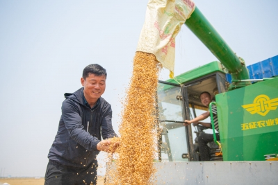 牢记初心使命 奋进复兴征程 | 全国优秀党务工作者魏德东——让种地成为一份体面的职业
