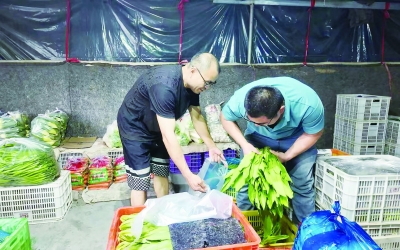 禹城打造智慧冷链物流产业园，辐射周边百公里 | 农贸升级丰富百姓“菜篮子”