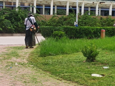散文 | 宋开凤：血压计上的“第一课”